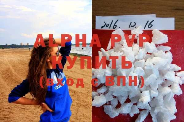 гашик Балахна