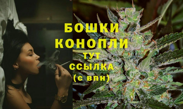 индика Богданович