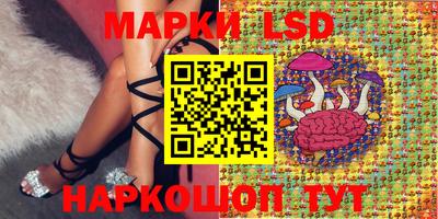 твердый Будённовск