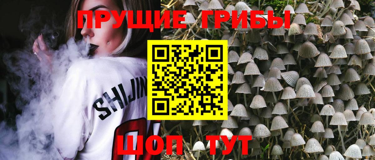 Гатчина  Псилоцибиновые грибы GOLDEN TEACHER  Вход с VPN 