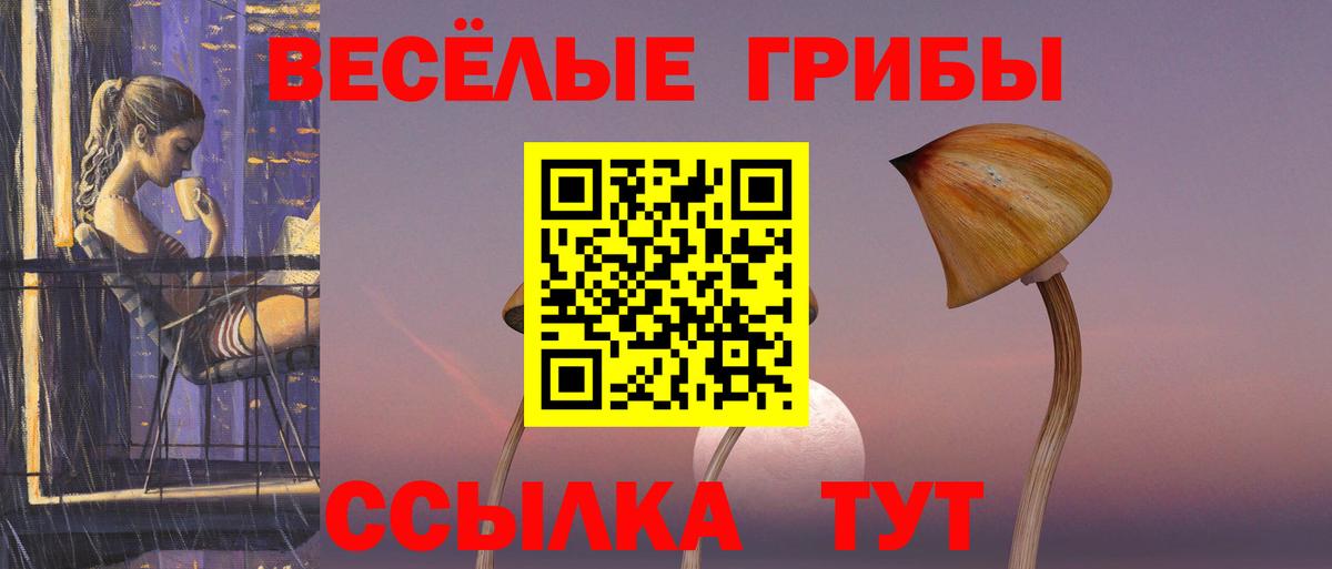 Галлюциногенные грибы GOLDEN TEACHER Гатчина